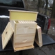 Hickory Hills Apiary