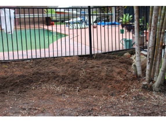 Affordable Stump Grinding - Elanora, QLD