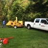 TriCounty Tree Service gallery