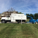 Harmony Tree Services - Landscaping & Lawn Services