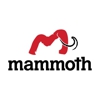 Mammoth Restoration gallery