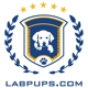 Labpups.com