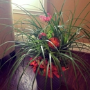 Flowering Designs Inc - Florists