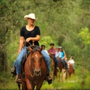 Diamond D Ranch - Horse Stables