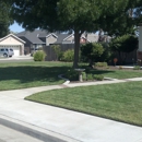 NICE N' TRIM LAWN CARE - Landscaping & Lawn Services