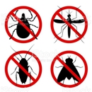 Pest Patrol - Landscaping & Lawn Services