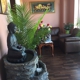 Pan Thai Massage