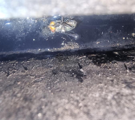 sbqualitycleaningpty.ltd - Coopers Plains, QLD. This was in the drip pan
