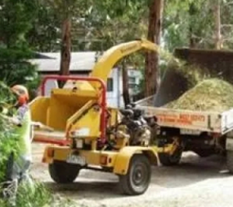 Mojo Tree And Stump Removal - Cowes, VIC