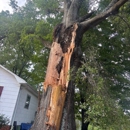 Jensen Lawn & Landscaping and Tree Service