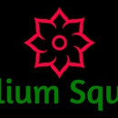 Trillium Square Advisors LLC - Financial Planners