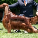Dog House Grooming Salon - Pet Services