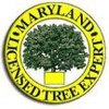 Harding Tree Expert gallery