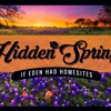 Hidden Springs Community gallery