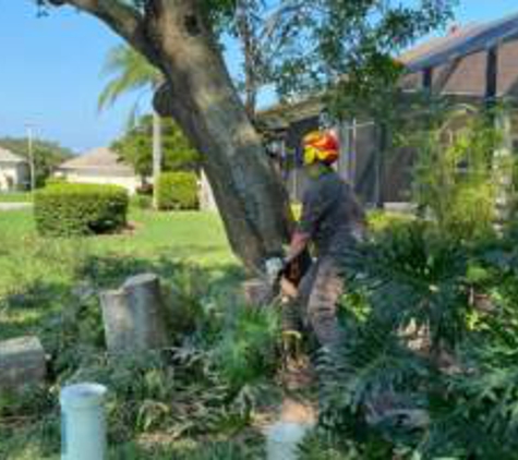 EcoPro Outdoor Solutions | Bradenton Tree Services - Bradenton, FL