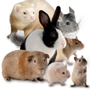 NYC Small Animal Pet Sitting/Boarding - Pet Services