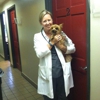 Sandy Springs Animal Clinic gallery