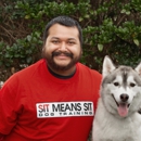 Dogwood Dog Training - Dog Training