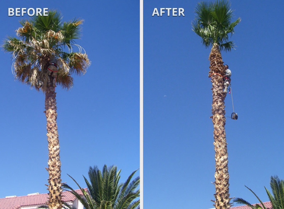 Chads Chippers Tree Service - Lancaster, CA