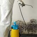 Mid-Iowa Environmental - Mold Remediation