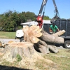 Johnke Tree Service gallery