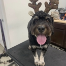 Smoochie Pooch - Pet Stores