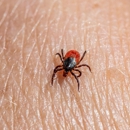 Ortex Termite and Pest Control - Pest Control Equipment & Supplies
