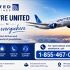 United Airlines gallery