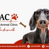 The Animal Clinic gallery