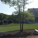 Sergi's Landscaping - Landscape Contractors