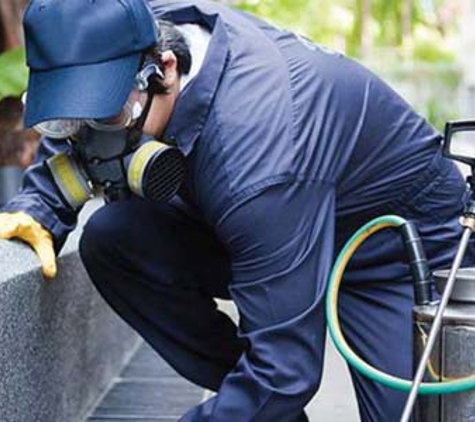 Impact Pest Control - Kirrawee, NSW