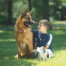 Friendly Pet Boundaries - Pet Stores