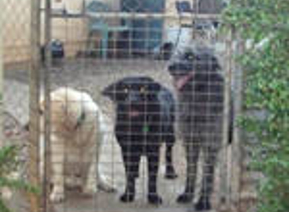 Kellmann Boarding Kennels - Templers, SA