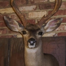 Big Timbers Taxidermy - Taxidermists