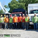 Campos Tree Services - Tree Service