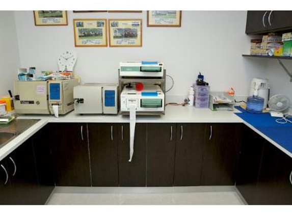 Courtney Dental - Hermit Park, QLD