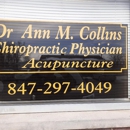 Collins, Ann M, DC - Chiropractors & Chiropractic Services