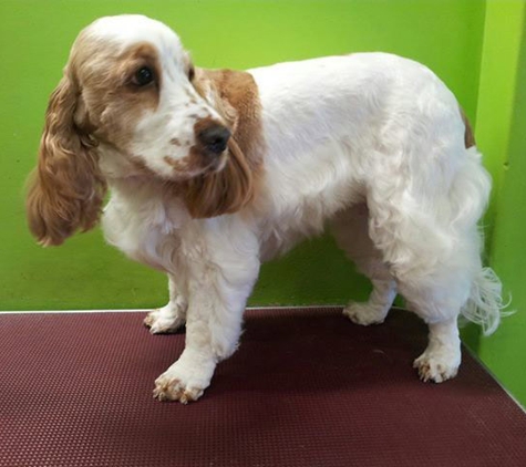 Leanne's Passion Pet Salon - Greystanes, NSW