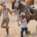 Ridgeback Stables LLC - Horse Transporting