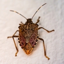 Sure Thing Pest Control - Pest Control Equipment & Supplies