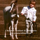 Cheyenne Arabians Pony Rides & Petting Zoo - Farms