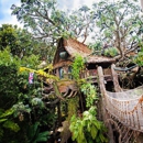 Tarzan's Treehouse™ - Tourist Information & Attractions