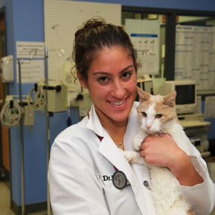 VCA Rutherford Animal Hospital - Rutherford, NJ