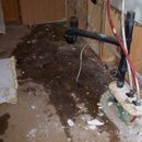 Go Green Damage Restoration Service - Water Damage Restoration