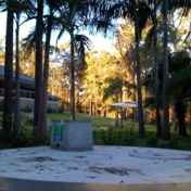 Gallery Image Number 8