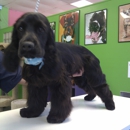 Ast Pet Pros - Dog & Cat Grooming & Supplies