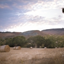 Cady Connelly Photography