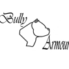 Bully Armour gallery