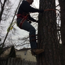 Bigelow's Tree Service and Lawn Care - Tree Service