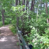 Audubon Society of New Hampshire gallery